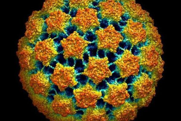 Metode za diagnosticiranje človeškega virusa papiloma