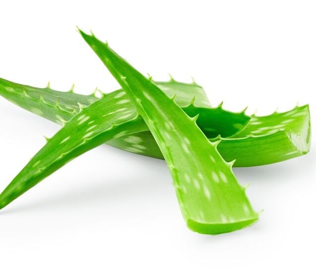 Aloe za zdravljenje papiloma
