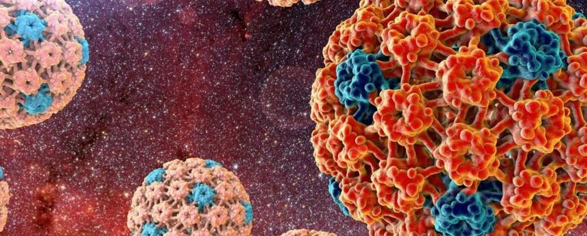 Humani papiloma virus, ki povzroča nastanek novotvorb na koži